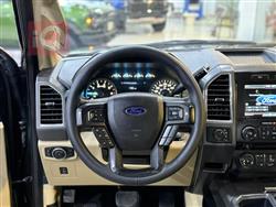 فۆرد F-150